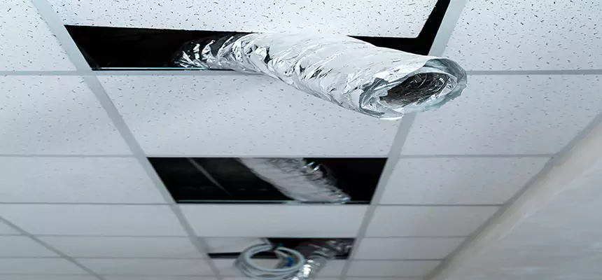 Our Air Duct Pet Hair Removal Services in Altadena, CA