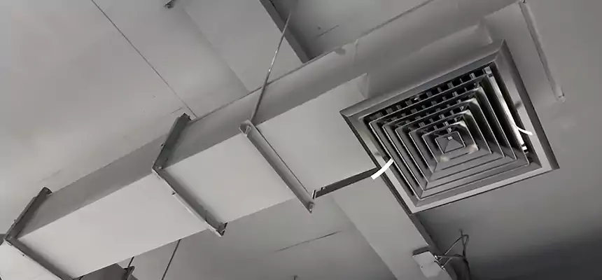 Our Rodent Droppings In Vents Services in Altadena, CA