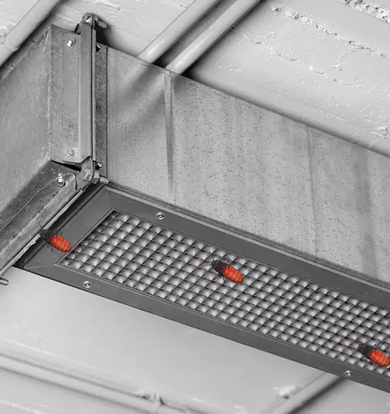 Affordable Insect Removal from Air Ducts in Altadena, CA