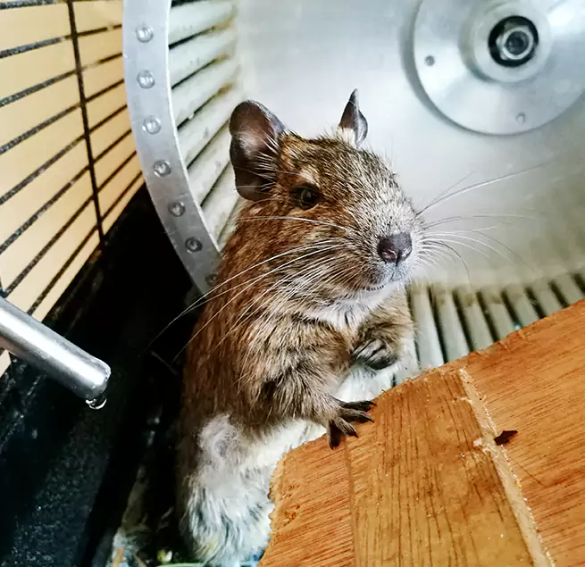 Why Homeowners & Businesses Trust Us Altadena, CA