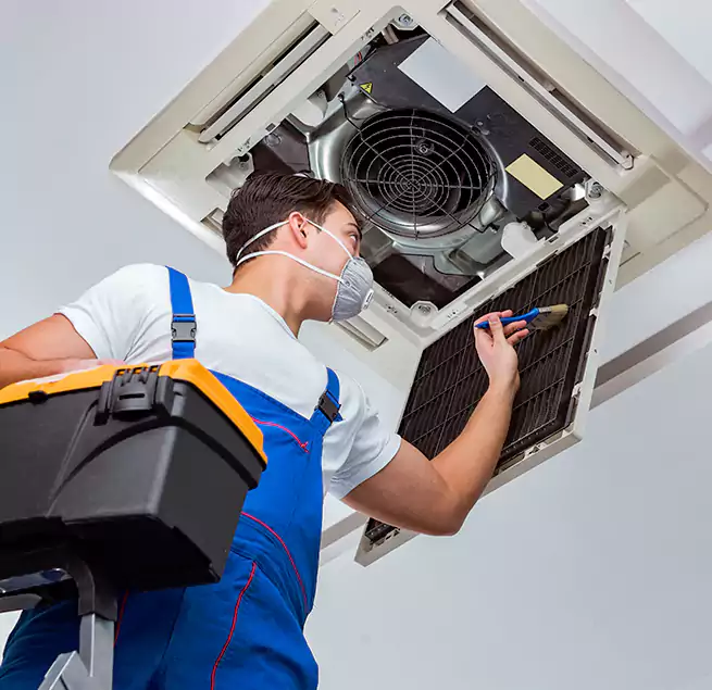 Why Homeowners & Businesses Trust Us in Altadena, CA?