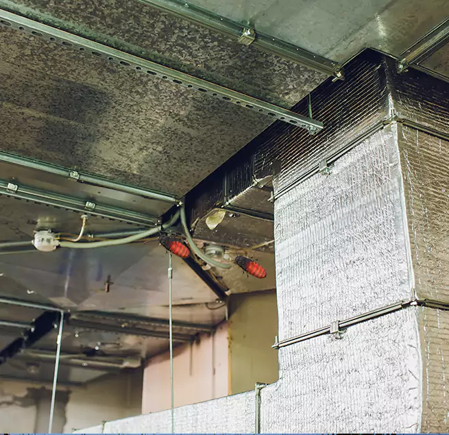 Why Homeowners & Businesses Trust Us Altadena, CA?