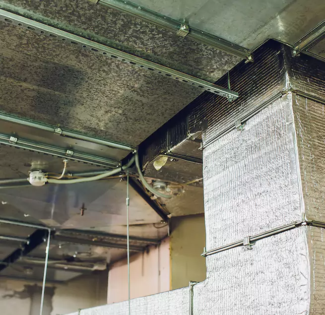 Why Homeowners & Businesses Trust Us in Altadena, CA?